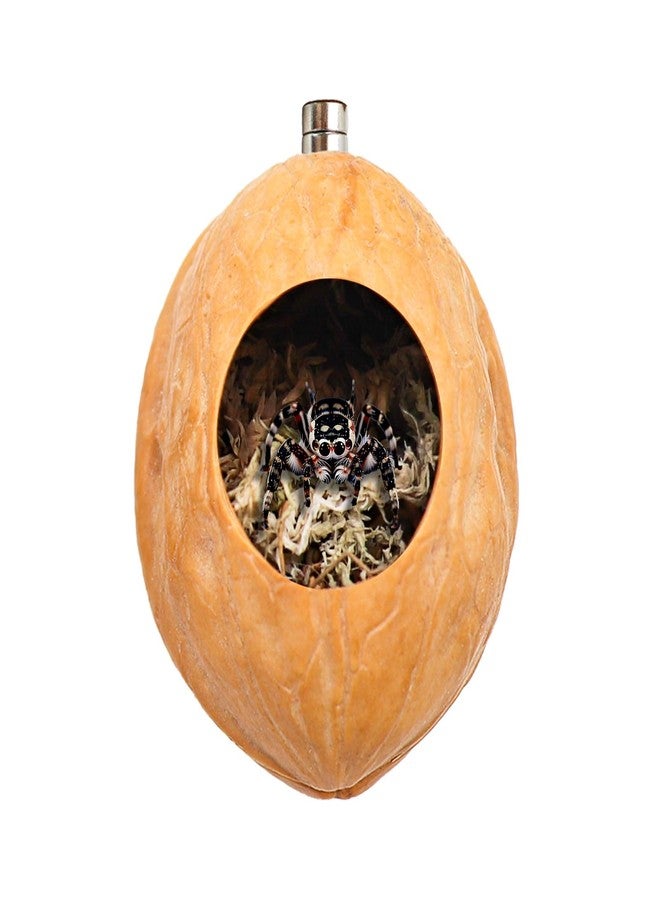 MHLLGN 2 Pack Jumping Spider Enclosure Accessories with Walnut Shell Moss and Magnet, Natural Material Jumping Spider Hide - Image 3